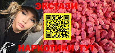 тгк Кингисепп