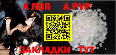 тгк Кингисепп